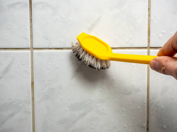 Best Mold Testing  in Hubbard, TX