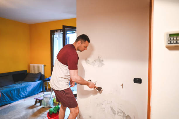 Best Mold Remediation  in Hubbard, TX