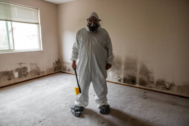 Best Mold Cleaning Services  in Hubbard, TX